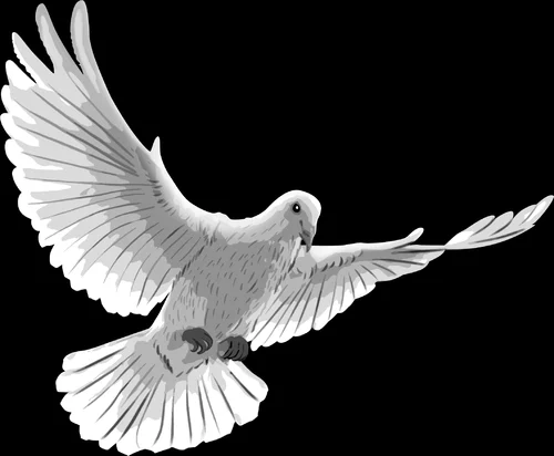 Голубь