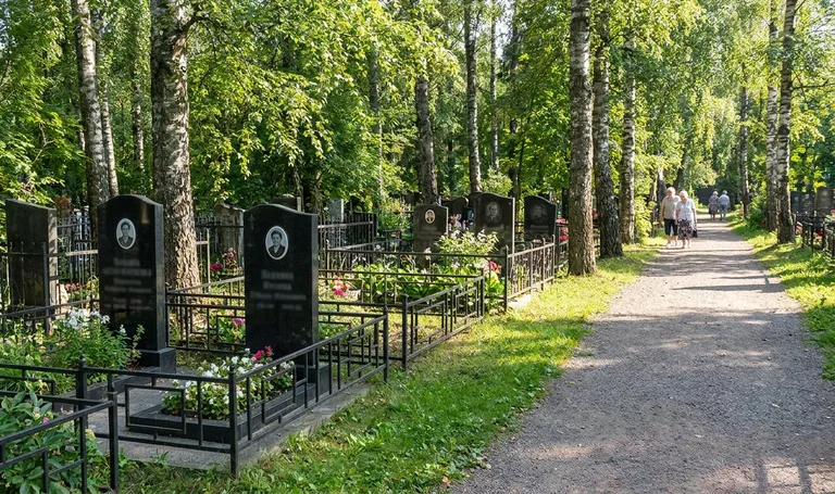 Самосыровское кладбище